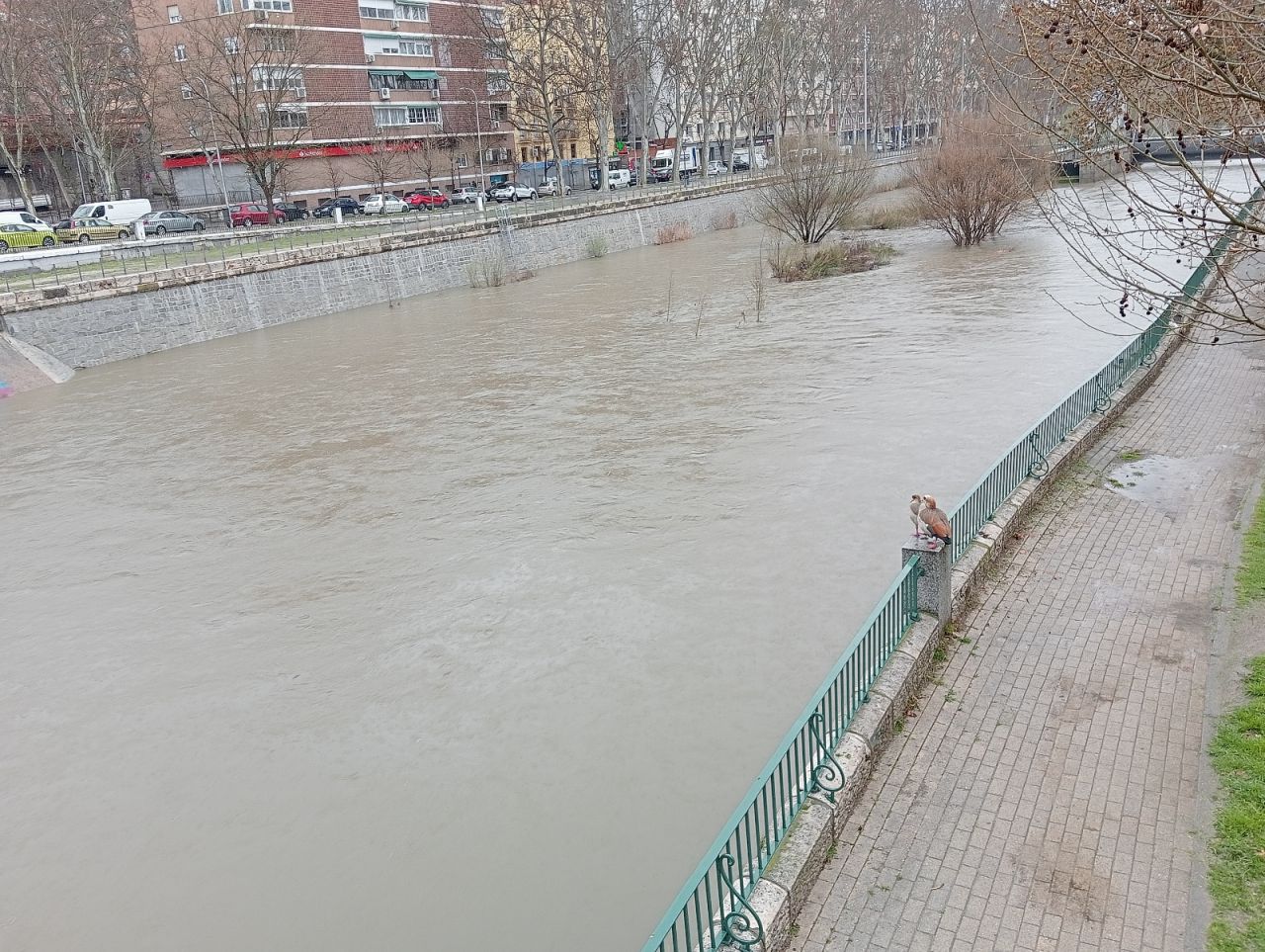 Crecida del río Manzanares tras la borrasca 'Laurence'