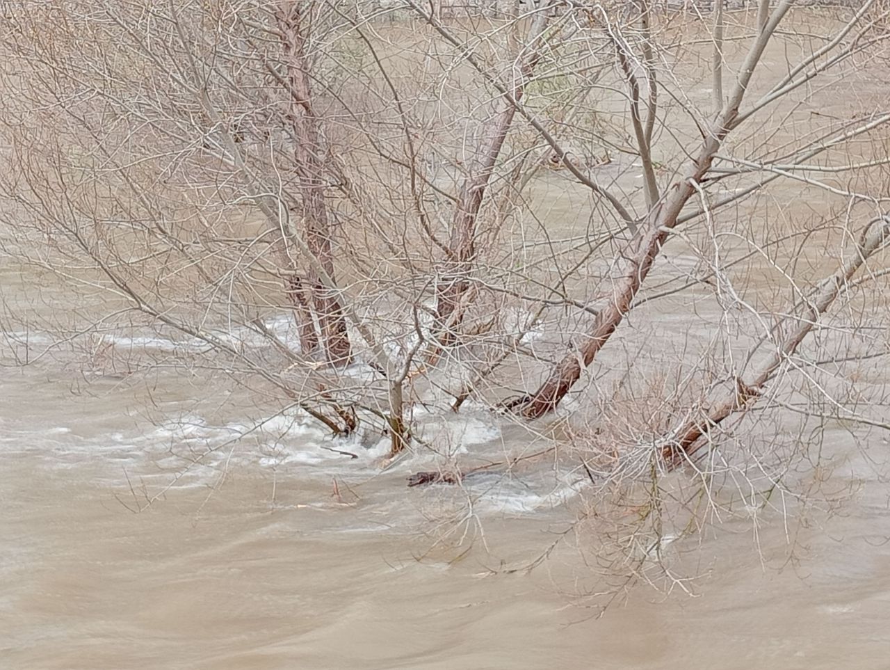 Crecida del río Manzanares por las lluvias