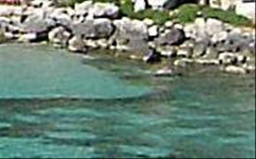 Un supuesto tiburón provoca el pánico en Menorca