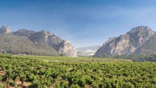 La cata del barrio de La Estación propone un viaje mágico a la milla de oro del vino