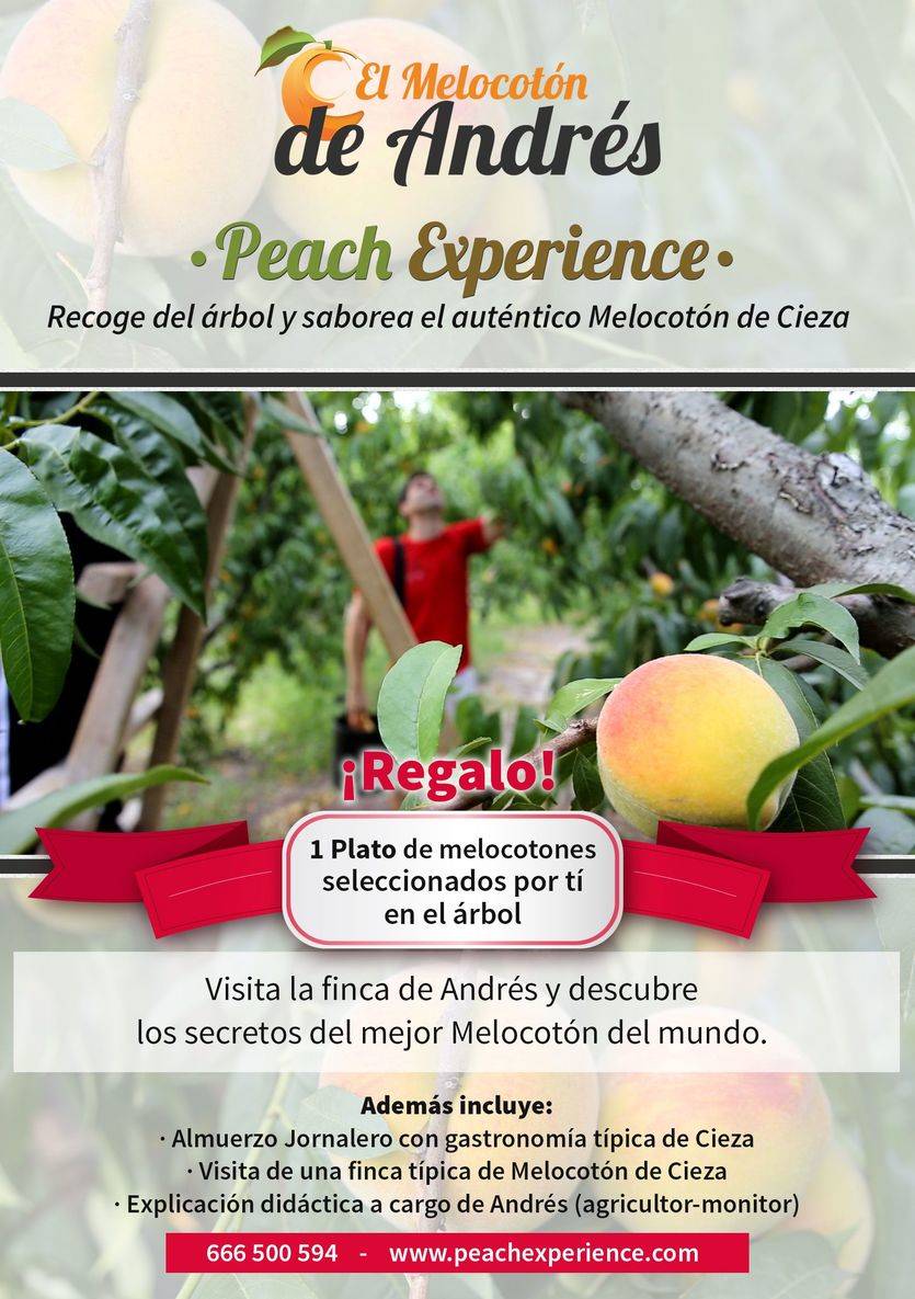 Agromarketing lanza el proyecto agroturístico “Peach Experience”