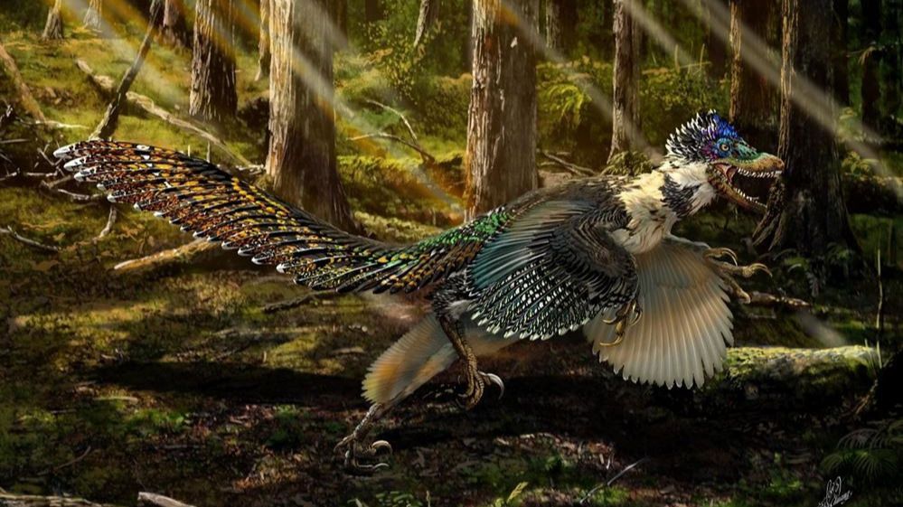 Hallan al pariente con plumas del velociraptor de 'Jurassic Park'