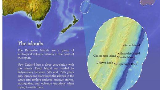 Nueva Zelanda creará un santuario marino en una de las últimas fronteras salvajes del planeta