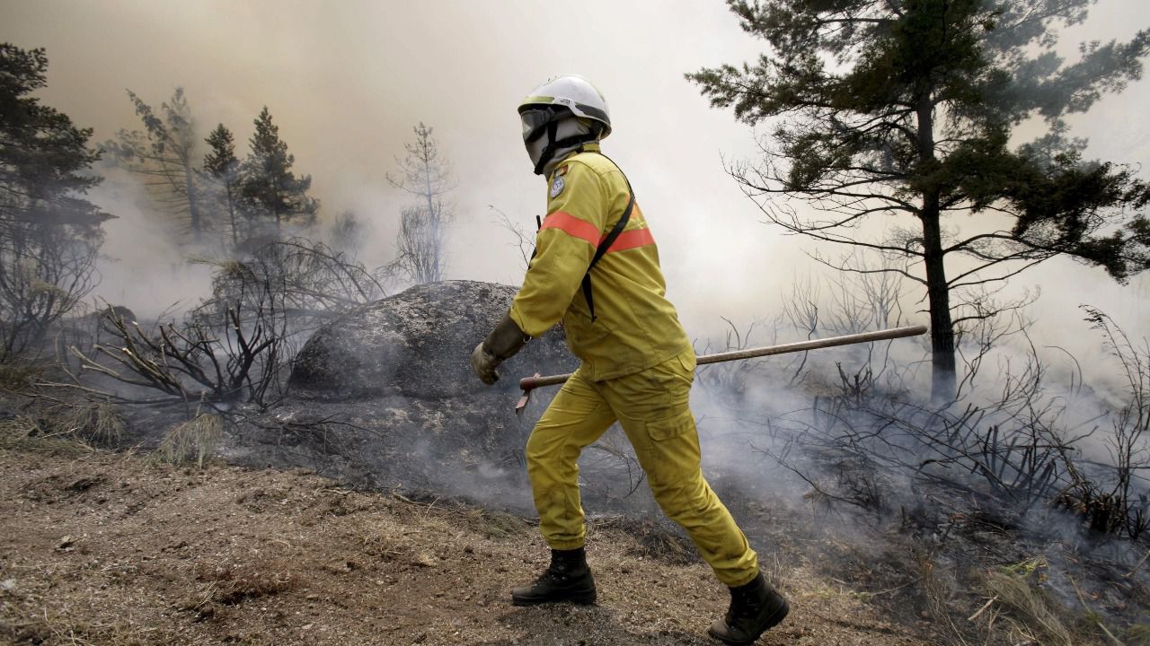 Incendios: la reformada Ley de Montes, en el punto de mira por abrir la puerta a la recalificación del suelo forestal