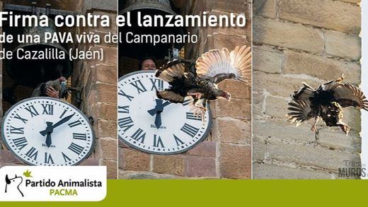 El PACMA quiere salvar también a la pava de Cazalilla en Jaén