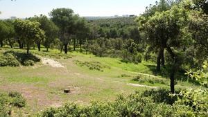 Madrid actualiza normativas para prevenir incendios forestales