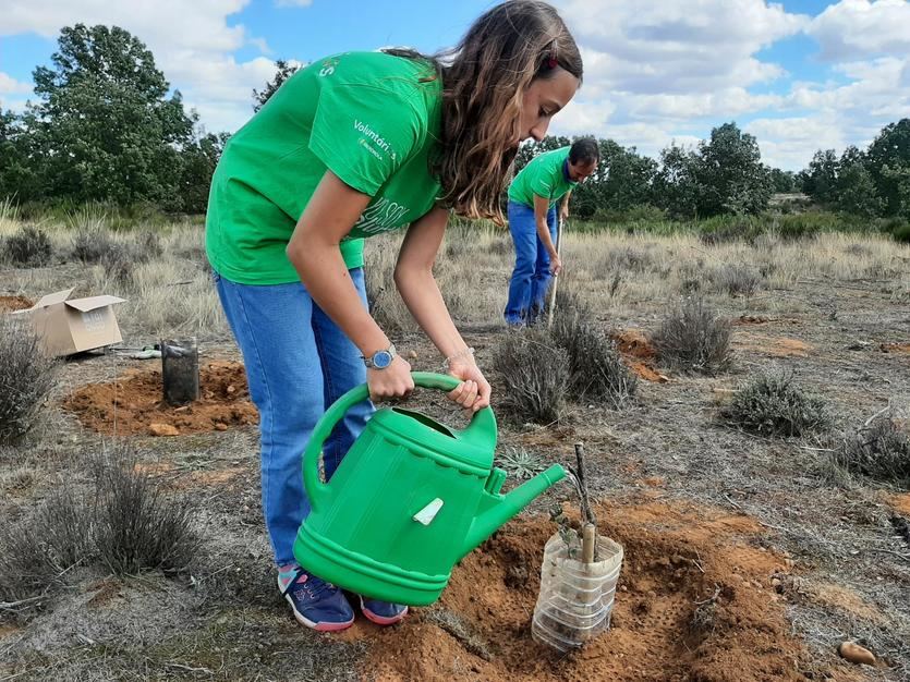 Iberdrola involucra a 5.000 voluntarios en la Semana Internacional del Voluntariado