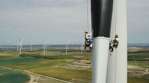 Iberdrola pinta las palas de sus aerogeneradores de negro e incluye ojos para proteger a las aves