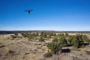 Iberdrola reforestará los pueblos de España más comprometidos con la sostenibilidad