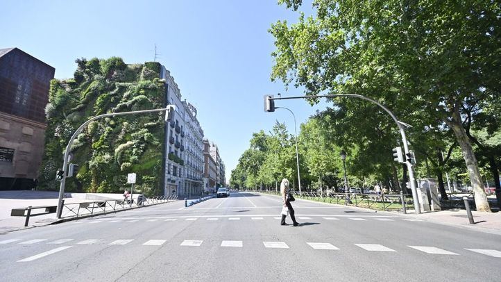 Paseo del Prado (Foto: Chema Barroso)
