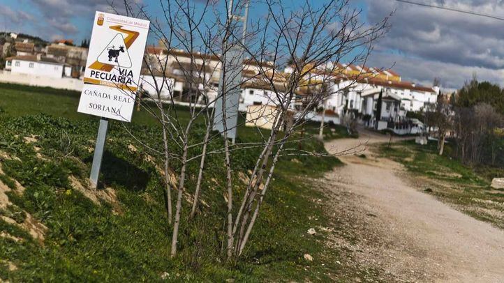 Via pecuaria a su paso por Fuentidueña de Tajo