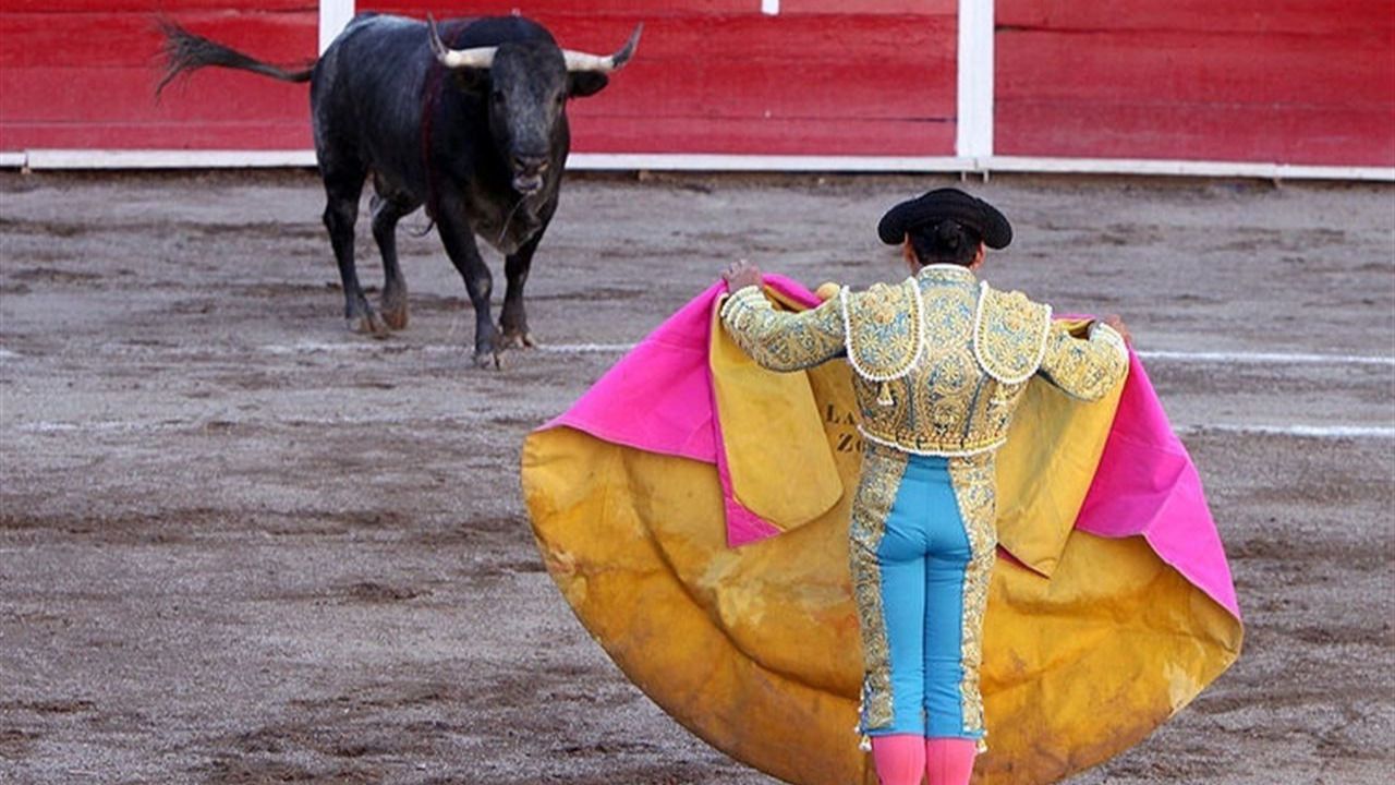 La UNESCO puede echar un capote a los toros, según le piden destacados juristas