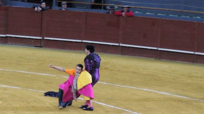 Inacción policial contra un grupo de antitaurinos que saltaron al ruedo en la plaza de Vistalegre