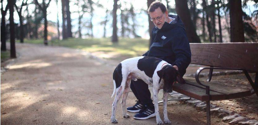 Mariano Rajoy en los jardines de La Moncloa junto a su perro Rico.