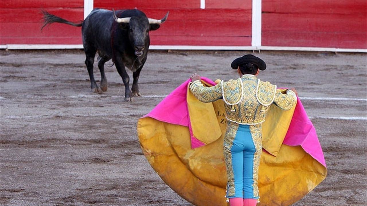 Y si España importara las corridas de toros la 'portuguesa'? | Diariocrítico.com