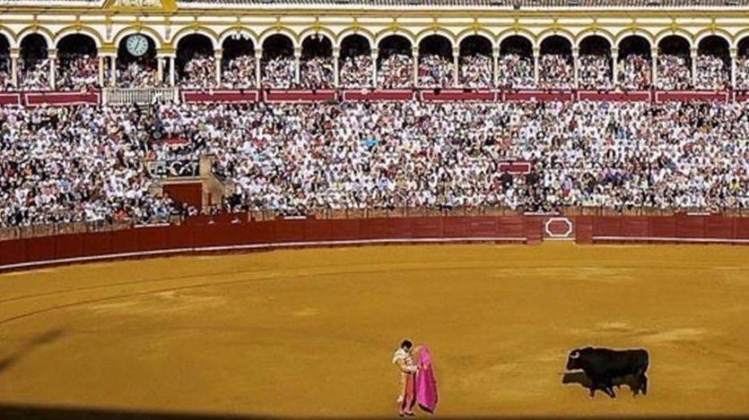 La Unión de Abonados analiza críticamente la Feria de Abril de Sevilla con el monoencaste del 'mediotoro'