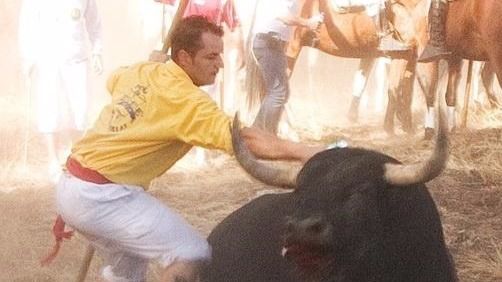 Tordesillas se rebela: el ayuntamiento socialista recurre la prohibición de matar al 'Toro de la Vega'