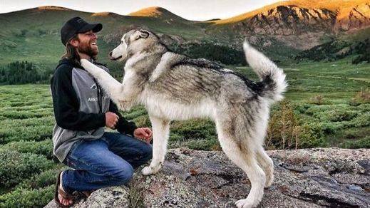 10 consejos para educar a tu perro y evitar comportamientos agresivos