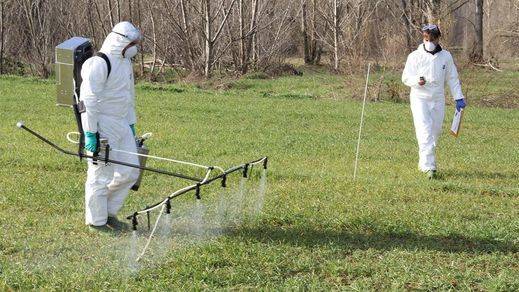 El glifosato o cómo la Unión Europea autorizará un herbicida potencialmente cancerígeno
