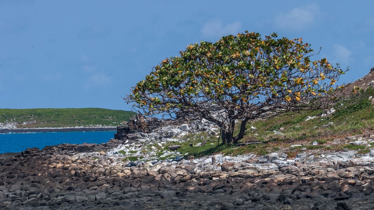 La belleza natural de Brasil en tres destinos deslumbrantes