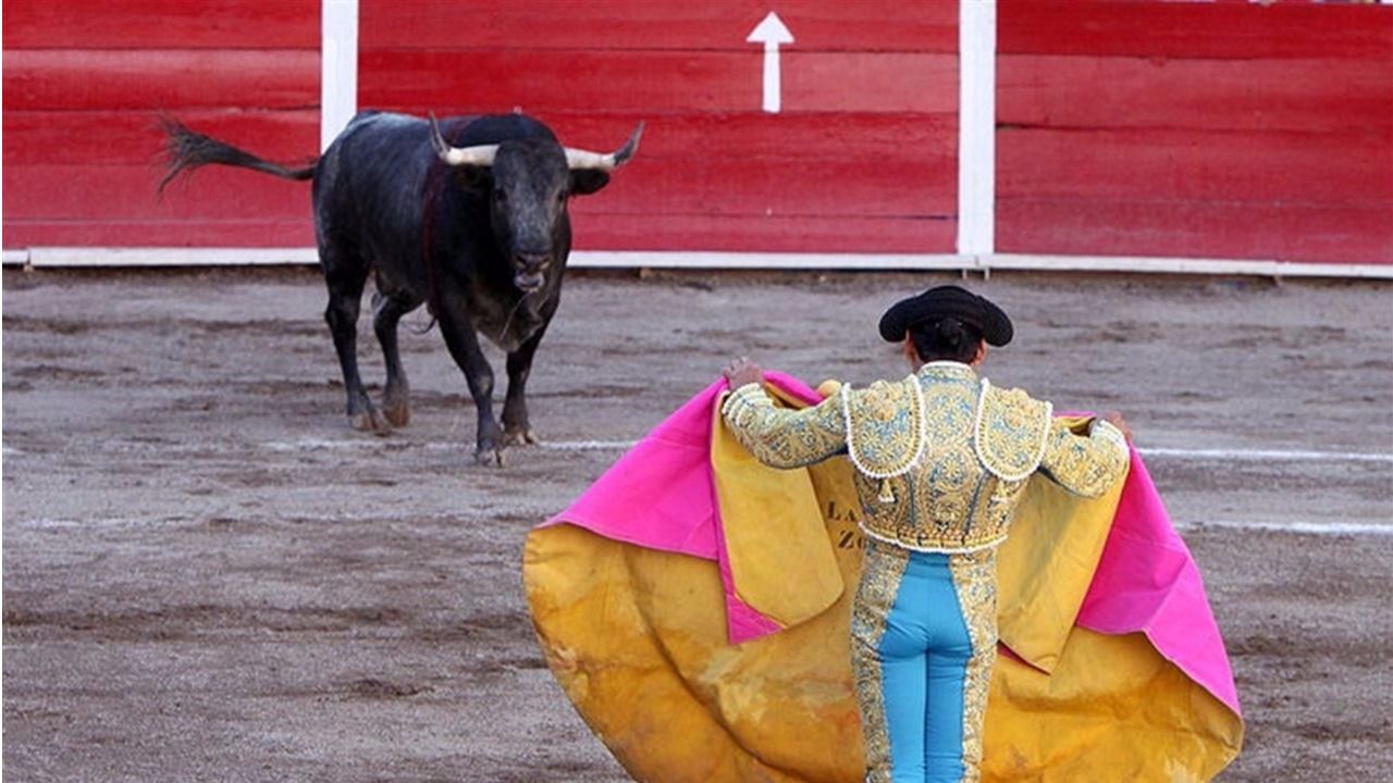 Los antitaurinos se desmarcan de la violencia y reivindican la abolición de la tauromaquia