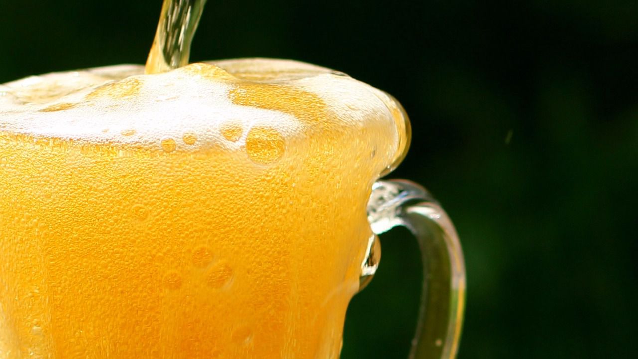 Cerrando el ciclo: científicos usan el 'agüita amarilla' para producir cerveza