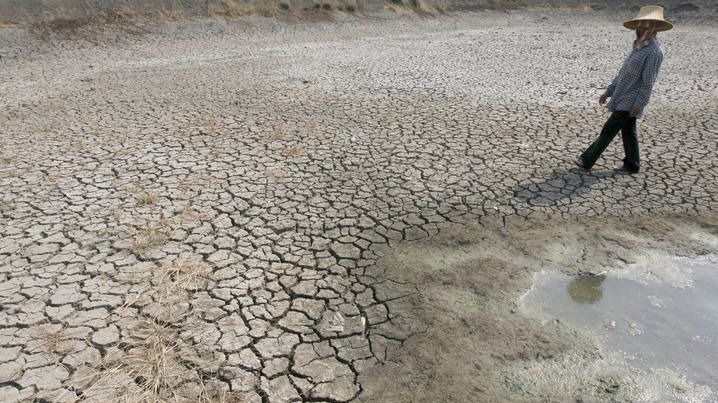 2015, el año más caluroso de la historia