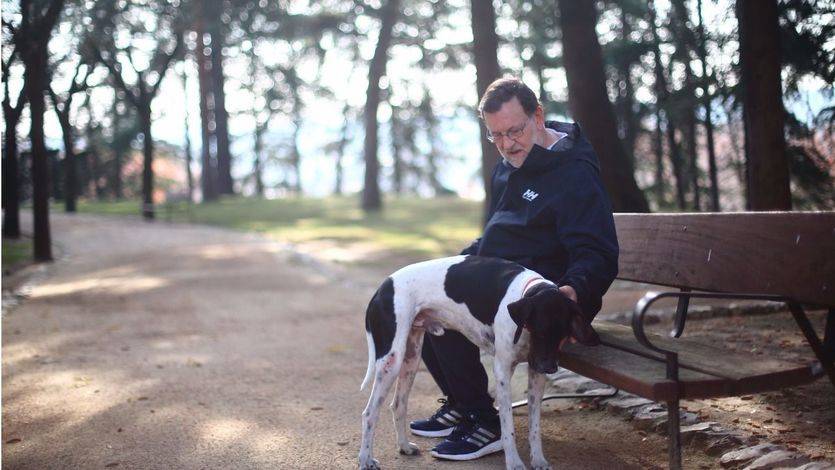 Mariano Rajoy quizá se hacía alguna de estas preguntas mientras pasea a su perro Rico durante la jornada de reflexión.