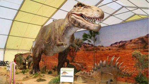 Hallan el primer... ¡cerebro de dinosaurio!