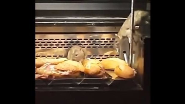 Precintan una panadería Granier tras un vídeo en el que se ve a las ratas ponerse las botas
