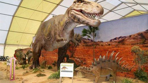 De película... hallan restos de una cola de dinosaurio conservada en ámbar