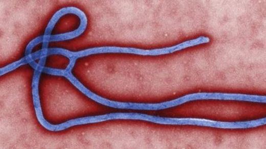 Una vacuna experimental contra el ébola funciona en Guinea
