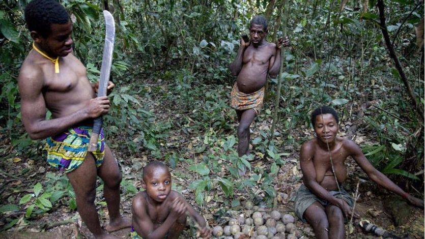 Tribus ‘pigmeas’ como la de los bakas viven en las selvas de la cuenca del Congo