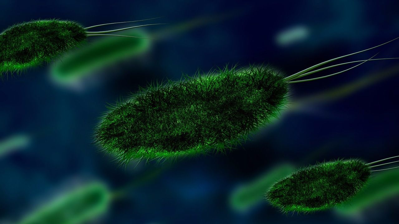 La OMS lanza una alerta mundial: bacterias casi invencibles contra las que urgen nuevos antibióticos