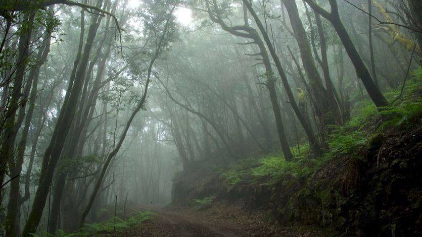 5 parques naturales para disfrutar de la llegada de la primavera