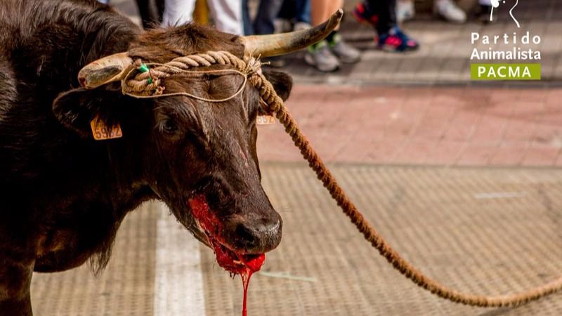 PP y Ciudadanos pactan bajar el IVA de los toros al 10% pero no el del cine