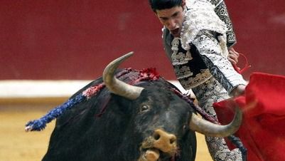 El Partido Animalista recoge casi 100.000 firmas contra la bajada del IVA a los toros