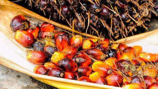 El aceite de palma: el nuevo enemigo público al que ahora todos odian... ¿es tan perjudicial?