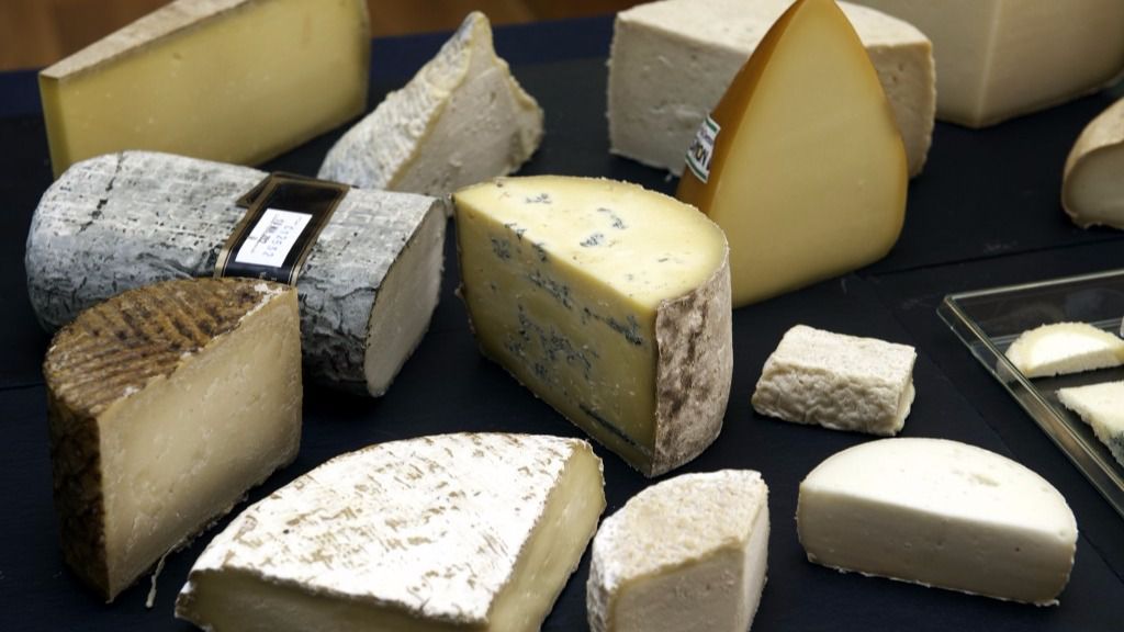 El 31 Salón de Gourmets elige los mejores quesos de España