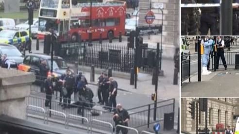 Detenido un sospechoso terrorista ante el 10 de Downing Street