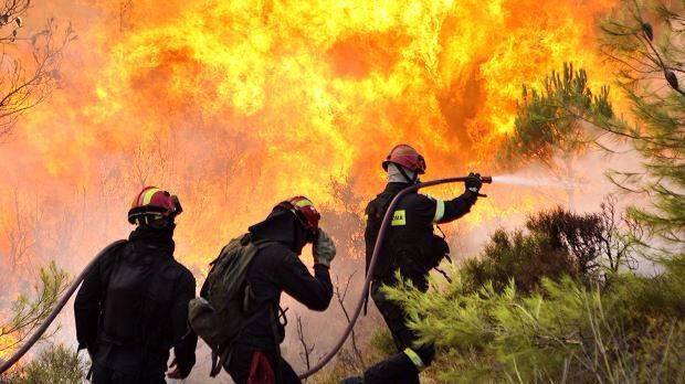 Oposiciones de los Servicios de Extinción de Incendios: 33 plazas de bomberos en Zamora y Almería