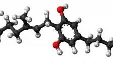 CBG cannabigerol