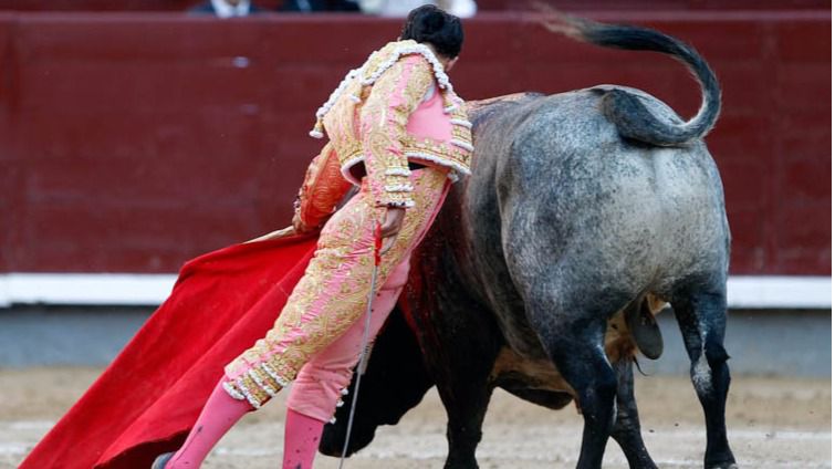 Aguilar muletea a ese gran toro que fue 'Liebre', premiado con vuelta al ruedo