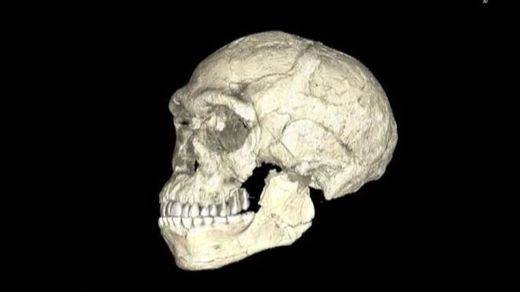 Los humanos somos 100.000 años más viejos de lo que se creía hasta ahora