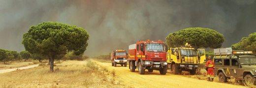 Esta vez, el horror del fuego tocó en España: el incendio de Moguer llega a Doñana