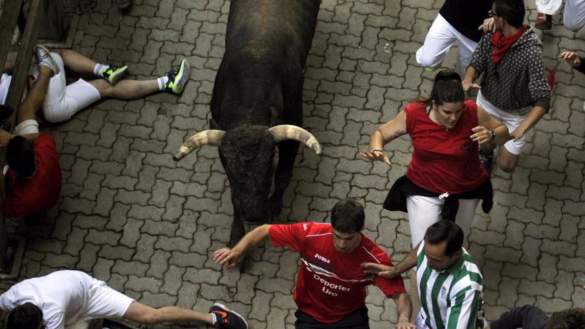 Los animalistas se proponen ahora prohibir los toros en los Sanfermines