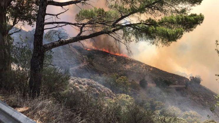 Incendio de nivel 2 en la cumbre de Gran Canaria