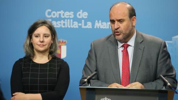 Directora del Instituto de la Mujer, Araceli Martínez, en la Comisión de Economía y Presupuestos de las Cortes de Castilla-La Mancha