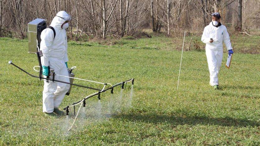 España vota a favor de seguir usando el glifosato, un herbicida potencialmente cancerígeno según la OMS