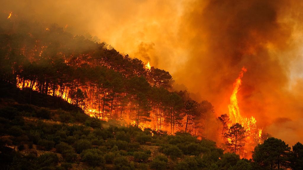 2017 ha sido el peor año en incendios forestales en España en una década
